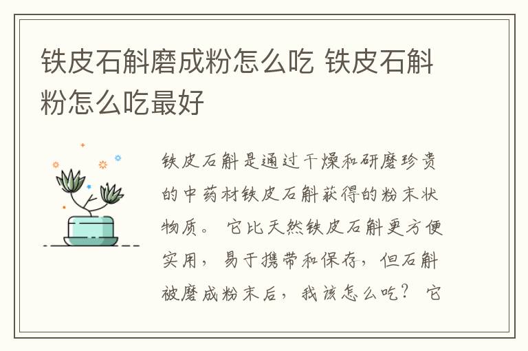 铁皮石斛磨成粉怎么吃 铁皮石斛粉怎么吃最好