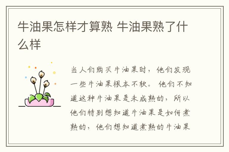 牛油果怎样才算熟 牛油果熟了什么样