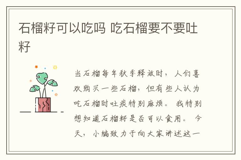 石榴籽可以吃吗 吃石榴要不要吐籽