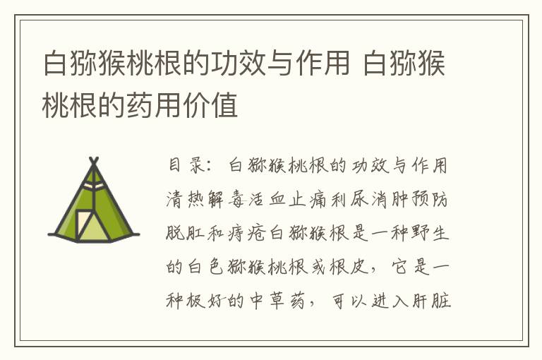 白猕猴桃根的功效与作用 白猕猴桃根的药用价值