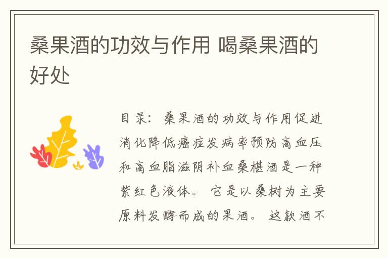 桑果酒的功效与作用 喝桑果酒的好处