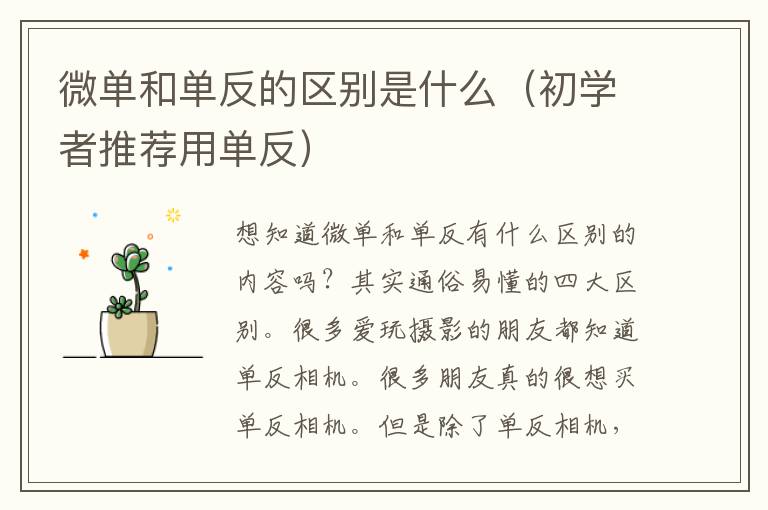 微单和单反的区别是什么（初学者推荐用单反）