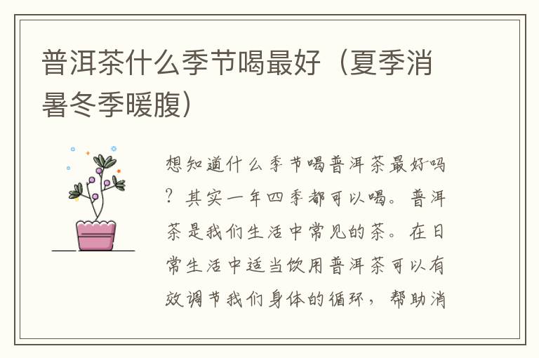 普洱茶什么季节喝最好（夏季消暑冬季暖腹）