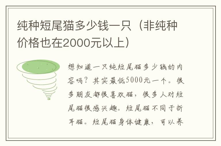 纯种短尾猫多少钱一只（非纯种价格也在2000元以上）