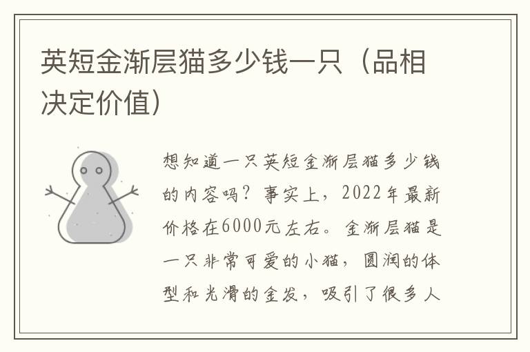 英短金渐层猫多少钱一只（品相决定价值）