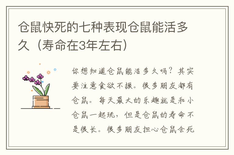 仓鼠快死的七种表现仓鼠能活多久（寿