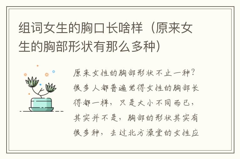 组词女生的胸口长啥样（原来女生的胸部形状有那么多种）