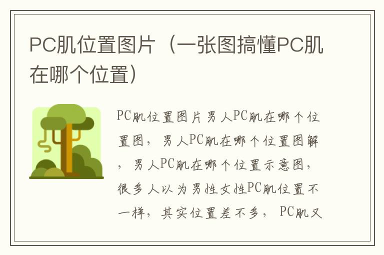 PC肌位置图片（一张图搞懂PC肌在哪个位置）