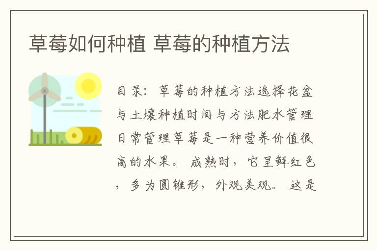 草莓如何种植 草莓的种植方法