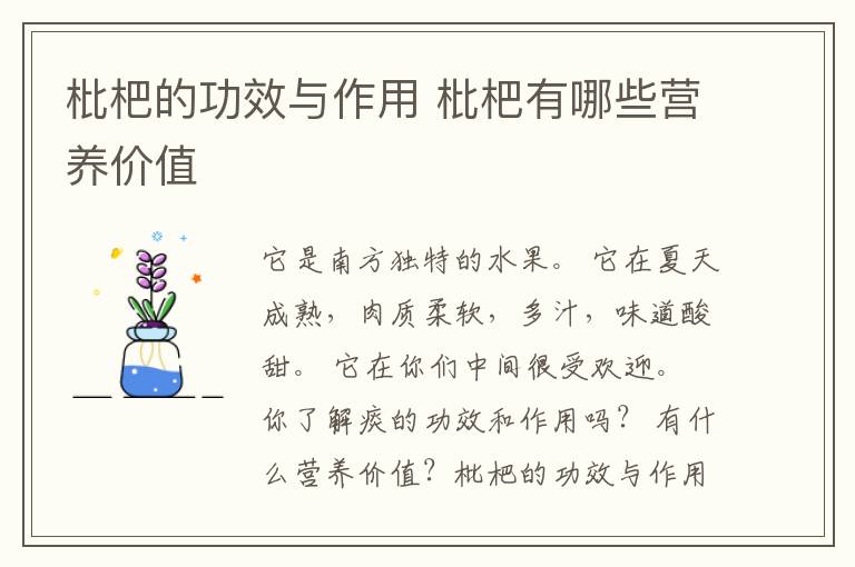 枇杷的功效与作用 枇杷有哪些营养价值