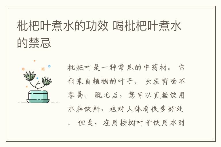 枇杷叶煮水的功效 喝枇杷叶煮水的禁忌