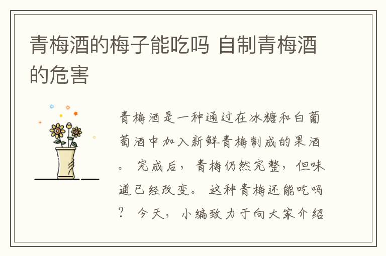 青梅酒的梅子能吃吗 自制青梅酒的危害