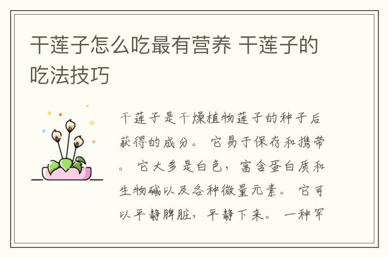 干莲子怎么吃最有营养 干莲子的吃法技巧