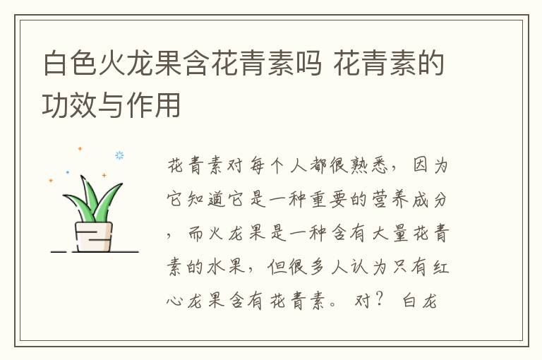 白色火龙果含花青素吗 花青素的功效与作用