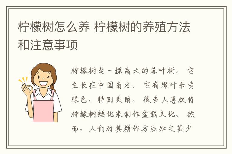 柠檬树怎么养 柠檬树的养殖方法和注意事项
