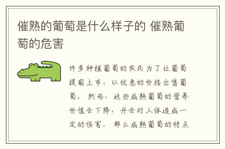 催熟的葡萄是什么样子的 催熟葡萄的危害