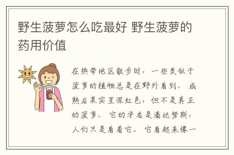 野生菠萝怎么吃最好 野生菠萝的药用价值