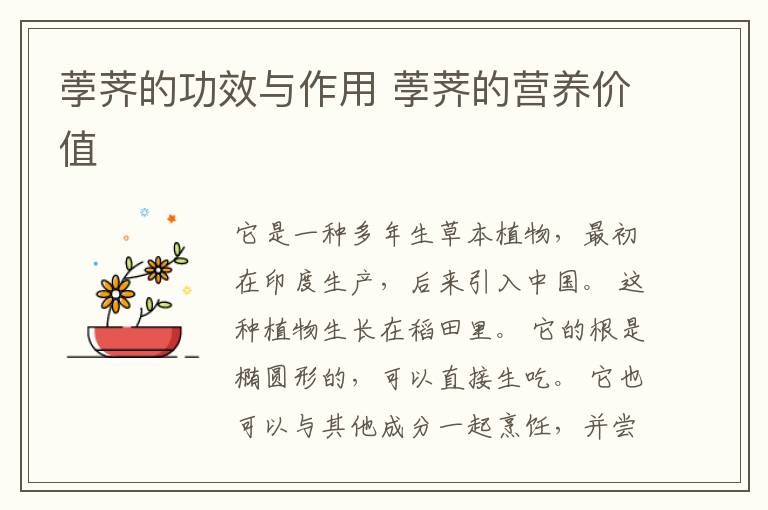 荸荠的功效与作用 荸荠的营养价值