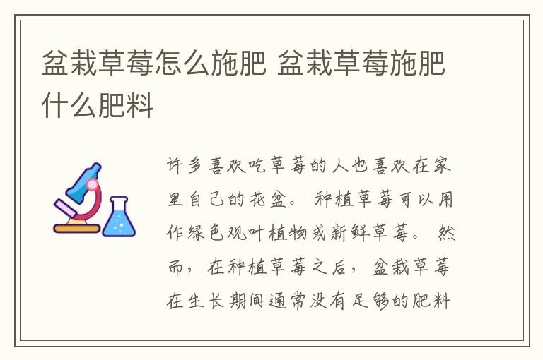 盆栽草莓怎么施肥 盆栽草莓施肥什么肥料