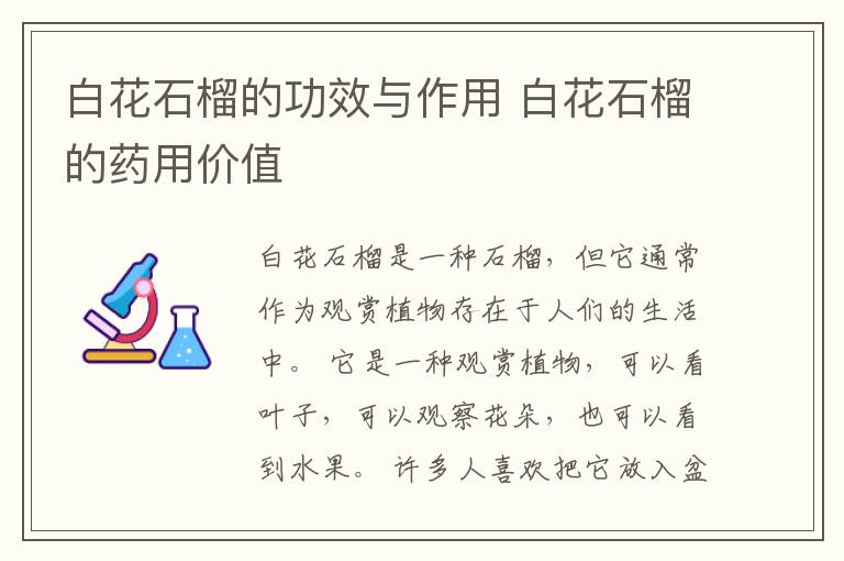 白花石榴的功效与作用 白花石榴的药用价值