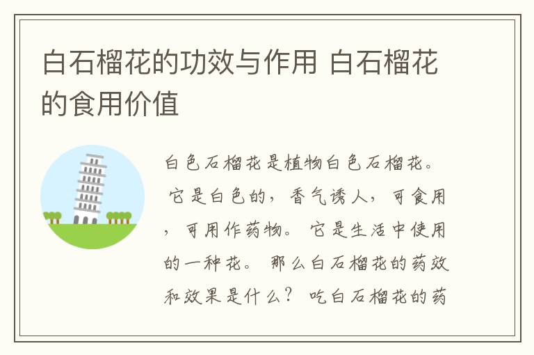 白石榴花的功效与作用 白石榴花的食用价值