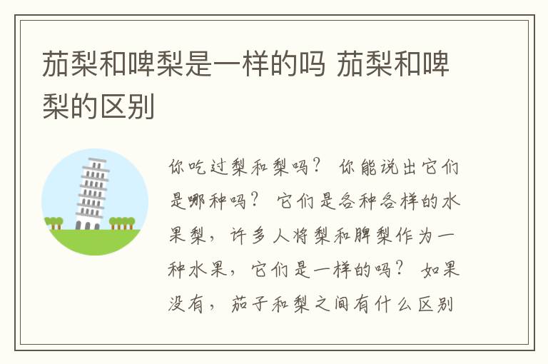茄梨和啤梨是一样的吗 茄梨和啤梨的区别