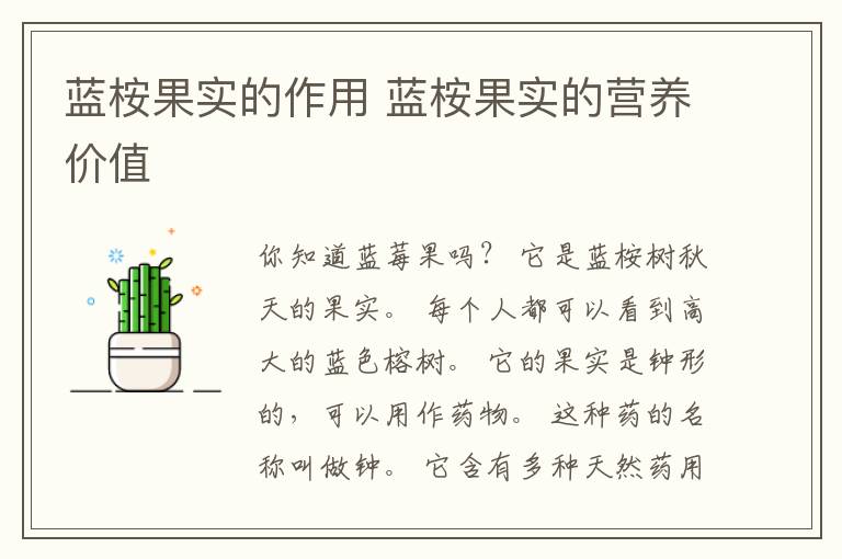 蓝桉果实的作用 蓝桉果实的营养价值