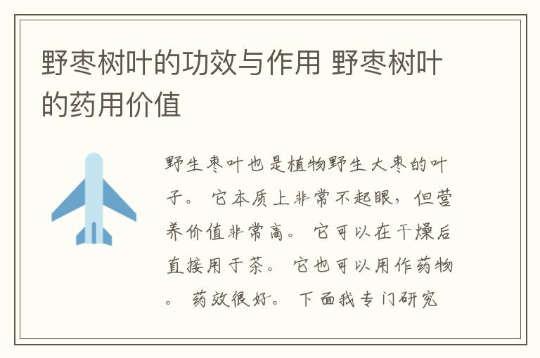野枣树叶的功效与作用 野枣树叶的药用价值