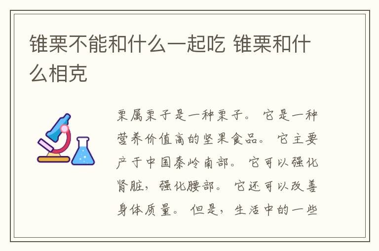 锥栗不能和什么一起吃 锥栗和什么相克