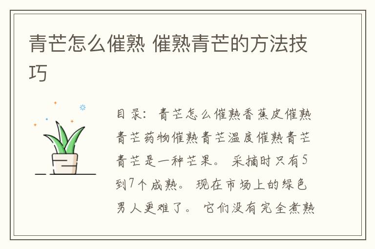 青芒怎么催熟 催熟青芒的方法技巧