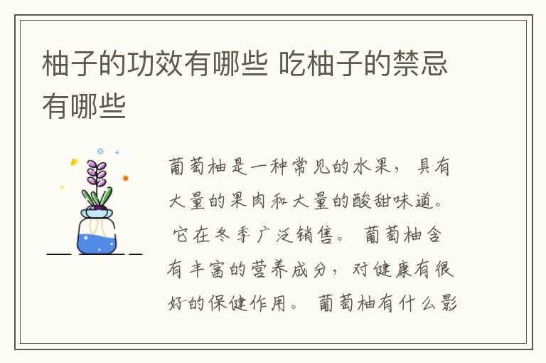柚子的功效有哪些 吃柚子的禁忌有哪些
