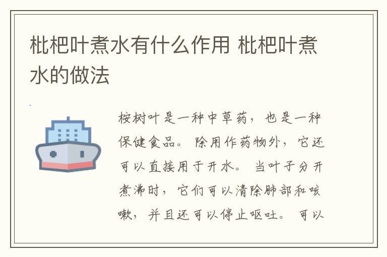 枇杷叶煮水有什么作用 枇杷叶煮水的做法