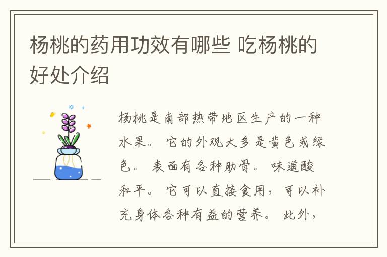 杨桃的药用功效有哪些 吃杨桃的好处介绍
