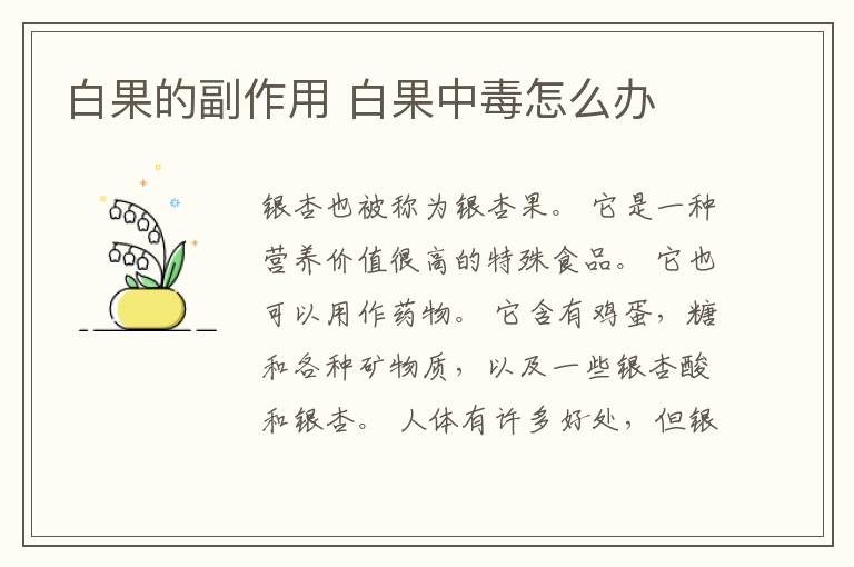 白果的副作用 白果中毒怎么办