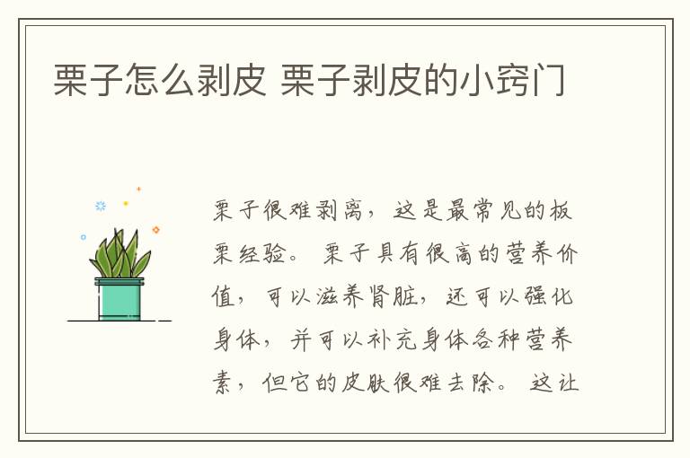 栗子怎么剥皮 栗子剥皮的小窍门