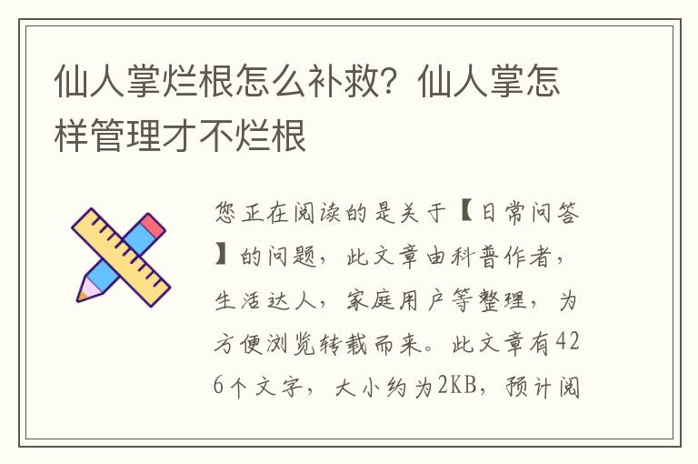 仙人掌烂根怎么补救？仙人掌怎样管理才不烂根