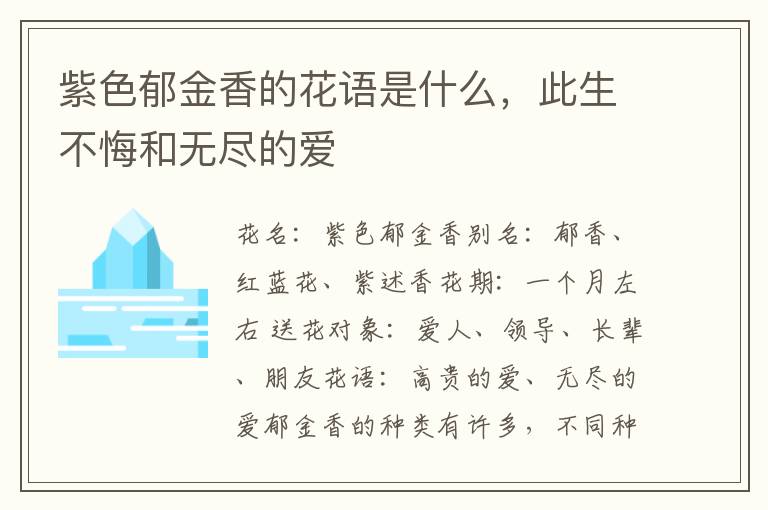 紫色郁金香的花语是什么，此生不悔和无尽的爱