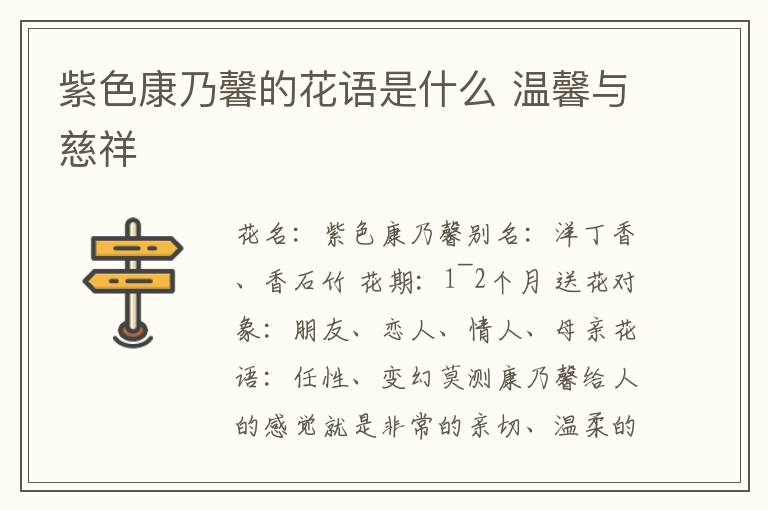 紫色康乃馨的花语是什么 温馨与慈祥