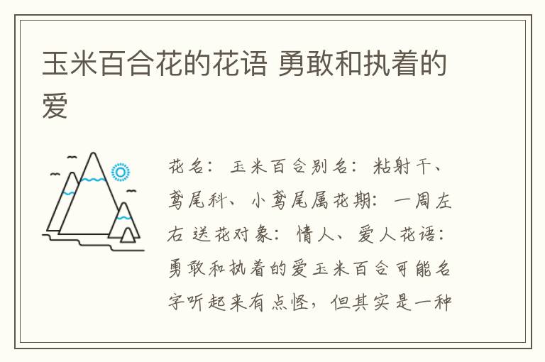 玉米百合花的花语 勇敢和执着的爱
