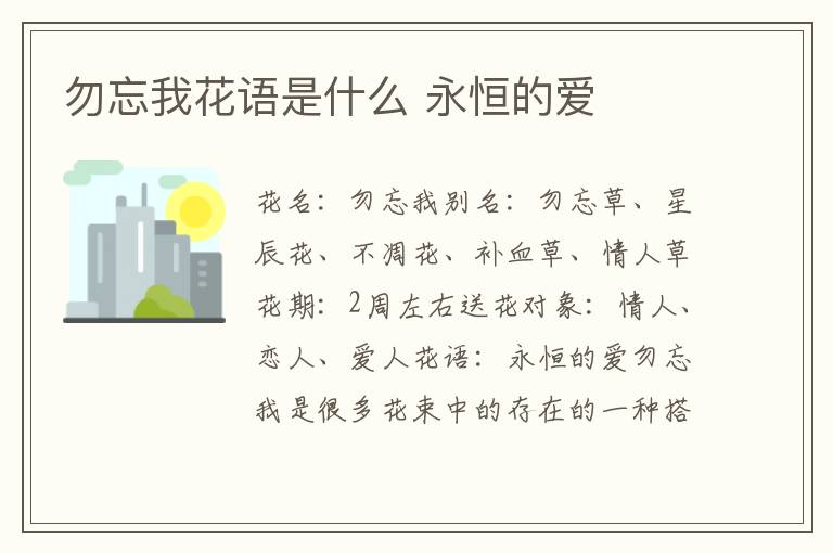 勿忘我花语是什么 永恒的爱