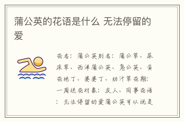 蒲公英的花语是什么 无法停留的爱