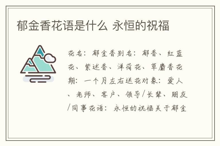 郁金香花语是什么 永恒的祝福