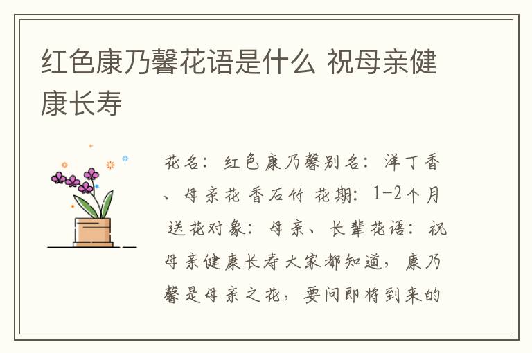 红色康乃馨花语是什么 祝母亲健康长寿
