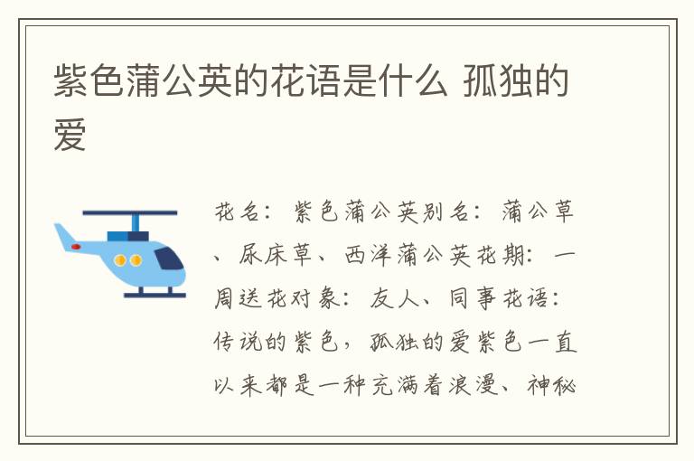 紫色蒲公英的花语是什么 孤独的爱