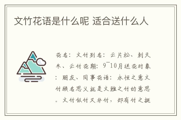 文竹花语是什么呢 适合送什么人