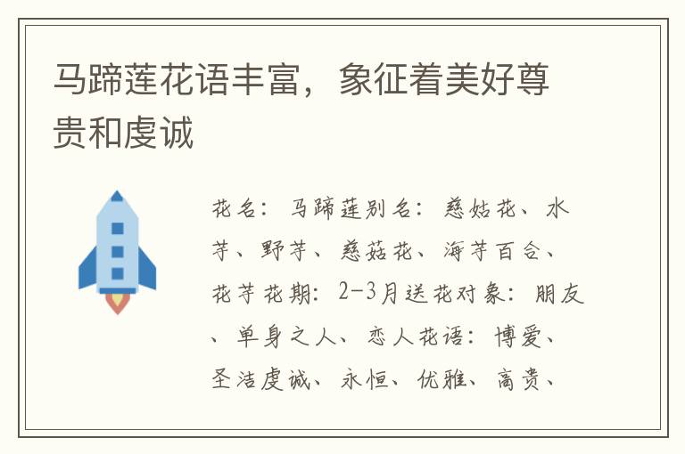 马蹄莲花语丰富，象征着美好尊贵和虔诚