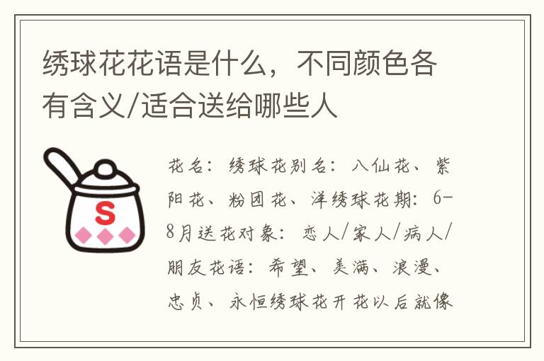 绣球花花语是什么，不同颜色各有含义/适合送给哪些人