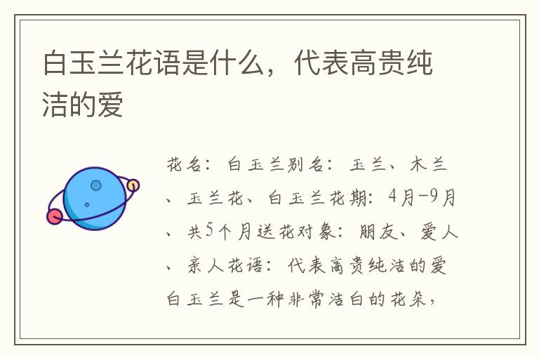 白玉兰花语是什么，代表高贵纯洁的爱