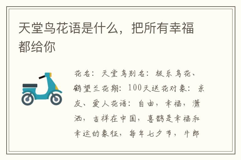 天堂鸟花语是什么，把所有幸福都给你