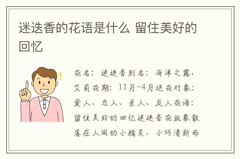 迷迭香的花语是什么 留住美好的回忆